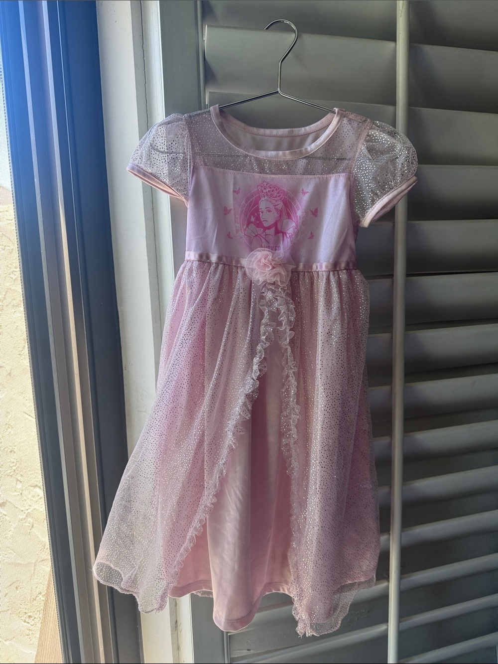 Girls “Wicked” Pink Sparkle Princess Dress